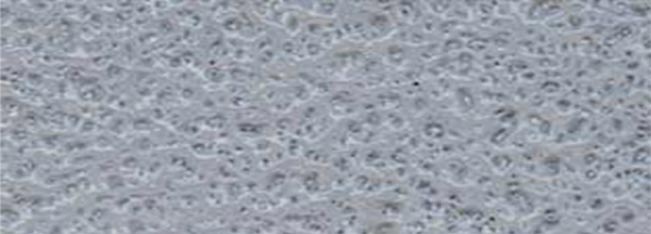 mid-grey