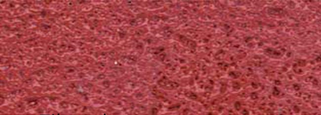 tile-red